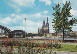 Germany PPC Köln Hohenzollernbrücke Und Dom Bridge & Cathedral Pont RÜDESHEIM Am Rhein 1965 Denmark (2 Scans) - Koeln