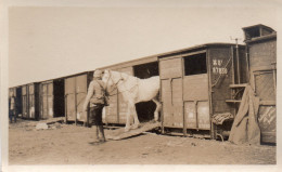 Photographie Photo Vintage Snapshot WW1 Guerre 14-18 Poilu Militaire - Guerre, Militaire