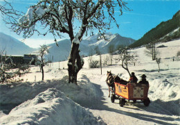 Morzine * Le Roc D'enfer * Vue Sur La Route * Attelage - Morzine