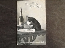 CP PUB ABSINTHE BOURGEOIS CHAT BUVANT DANS VERRE JOURNAL PONTARLIER - 89250 - Publicidad