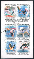 Bloc Sheet Oiseaux Flamants Birds Flamingos Neuf  MNH ** Mozambique Mocambique 2011 - Flamingo