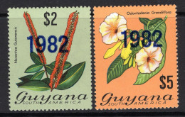 Guyana 1982 Date Overprint HM (SG 920-921) - Guyana (1966-...)