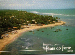 Mata De Sao Joao - Praia Do Forte -  1999 - Altri & Non Classificati