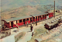 La Rhune * Le Chemin De Fer à Crémaillère * Station Gare - Autres & Non Classés