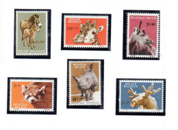 Belgique België Animaux Du Zoo D' Anvers 1961 - Unused Stamps