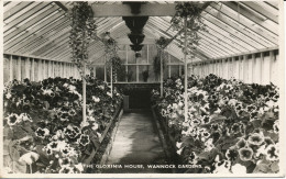 PC00103 Gloxinia House. Wannock Gardens. 1955 - World