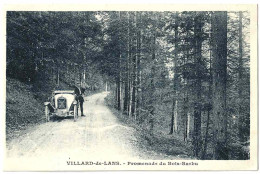 38 - B33489CPA - VILLARD DE LANS - Promenade Du Bois-Barbu - Parfait état - ISERE - Villard-de-Lans