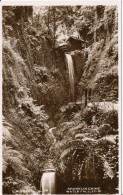 PC00307 Shanklin Chine. Water Fall. I.o.W. Sunray Series. RP - Mundo