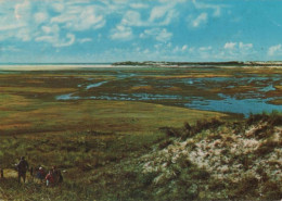 90058 - Niederlande - Texel - De Slufter - 1976 - Texel