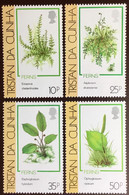 Tristan Da Cunha 1989 Ferns Plants MNH - Other & Unclassified