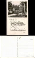 Ansichtskarte Elgersburg Mönchshof, Text 1955 - Elgersburg