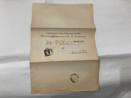 DOCUMENTO STORIA POSTALE CONFEDERAZIONE PROFESSIONISTI COSENZA VS AMANTEA 1935. - Documentos Históricos