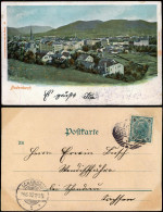 Postcard Tetschen-Bodenbach Decín Partie An Der Stadt 1902 - Czech Republic