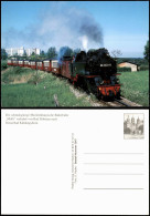 Die Bäderbahn Molli Schmalspurige Mecklenburgische Bäderbahn 2000 - Trains