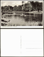 Ansichtskarte Wilhelmshaven Stadtpark Teich-Anlage 1960 - Wilhelmshaven