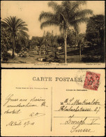 Postcard Monte-Carlo Les Jardins 1925 - Autres & Non Classés