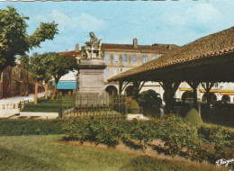 82 - Beaumont De Lomagne  -  Statue De Fermat - Beaumont De Lomagne