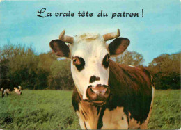 Animaux - Vaches - Carte à Message Humoristique - CPM - Voir Scans Recto-Verso - Vacas