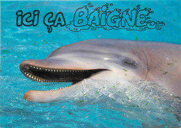 Animaux - Dauphin - Dolphin - Carte à Message - CPM - Carte Neuve - Voir Scans Recto-Verso - Dauphins