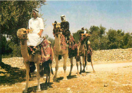 Animaux - Camélidés - Cavaliers De Chameaux - Travellers On Their Camels - Kamelreiter - CPM - Voir Scans Recto-Verso - Sonstige & Ohne Zuordnung