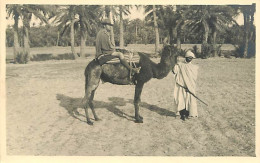 Scènes Et Types - Afrique Du Nord - Carte Photo - Européen à Dos De Chameau - Animée - CPA - Voir Scans Recto-Verso - Afrika