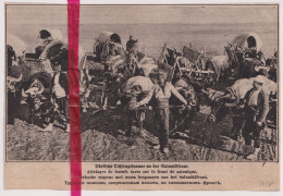 Oorlog Guerre 14/18 - Saloniki Front Attelages Turcs, Turkse Wagens - Orig. Knipsel Coupure Tijdschrift Magazine - 1917 - Unclassified