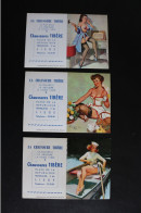 O  81 - Calendriers Année 1969 - Pin-Ups + Publicité "Chaussures Tibère" - Liège - Pin-Ups