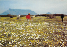 Afrique Du Sud RSA  Zuid-Afrika Milnerton Golf Club  Cape Town KAAPSTAD  15 (scan Recto Verso)ME2646BIS - Sud Africa
