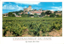 CHATEAUNEUF DU PAPE L Un Des Plus Grands Crus De La Vallée Du Rhone 13(scan Recto Verso)ME2696 - Chateauneuf Du Pape
