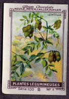 Nestlé - 100B - Plantes Légumineuses, Fabaceae, Leguminosae, Papilionaceae - 4 - Lentille, Lens, Lentil - Nestlé