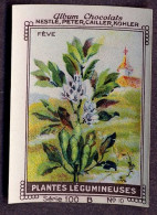 Nestlé - 100B - Plantes Légumineuses, Fabaceae, Leguminosae, Papilionaceae - 10 - Fève, Bean - Nestlé