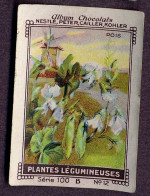 Nestlé - 100B - Plantes Légumineuses, Fabaceae, Leguminosae, Papilionaceae - 12 - Pois, Peas - Nestlé
