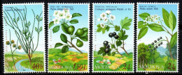 Moldawien 2004 - Mi.Nr. 501 - 504 - Postfrisch MNH - Bäume Trees Früchte Fruits - Trees