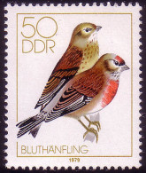 2393 Heimische Singvögel 50 Pf Bluthänflinge ** Postfrisch - Neufs