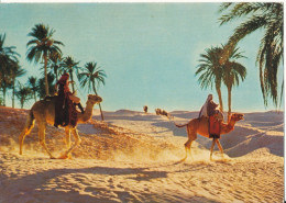 Tunisia Postcard Sent To Denmark 11-11-1975 Caravan In Tunisian South - Tunesië