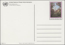 UNO New York Postkarte P 10 Kirschblüte 15 Cent 1989, Ungebraucht ** - Altri & Non Classificati