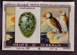 Nestlé - 101B - Oeufs D'oiseaux, Bird Eggs - 6 - Macareux, Puffin - Nestlé