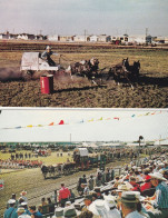 Pony Chuckwagon Racing And The Start Of The Daily Parade At Saskatoon's Pio-Era. -  Lot Of 2 Cards - Saskatoon