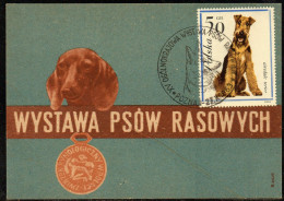 POLAND 1963 XV NATIONAL PEDIGREE DOG SHOW CANCEL ON PC POZNAN DOGS - Dogs