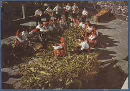 Costumes, Minho - Desfolhadas Minhotas - Viana Do Castelo