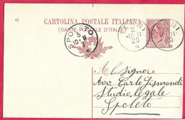 ANNULLO CS "TERNI *2.10.11* SU INTERO CARTOLINA POSTALE LEONI (INT. 36\10) PER SPOLETO - Marcophilie