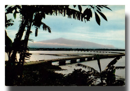 Cameroun - Douala - Pont Sur Le Wouri  (recto Verso)PFRCR00032P - Camerun