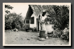 CAMEROUN YOKO PILEUSE DE RIZ Collection JFM   (scan Recto-verso) PFRCR00033P - Camerun