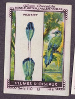 Nestlé - 110B - Plumes D'Oiseaux, Bird Feathers - 6 - Momot - Nestlé