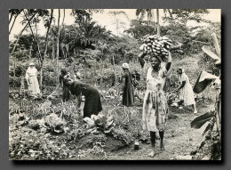 Soeurs Du Saint Coeur  Cameroun - Mission D'Akonolinga - Jardinage à La Mission (scan Recto-verso) PFRCR00034P - Camerun