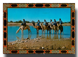 La Caravane Chameau Oasis Maroc Marroco Marruecos (scan Recto-verso) PFRCR00035P - Mundo