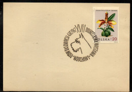 POLAND 1967 XVII LOWER SILESIA PEDIGREE DOG SHOW WROCLAW CANCEL ON PAPER DOGS TERRIER - Chiens