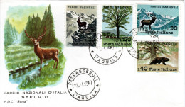 ITALY  FDC, Deer, Brown Bear, Ibex    /   ITALIE  Lettre De Première Jour, L`ours Brun, Cerf, Ibex   -  1967 - Altri & Non Classificati