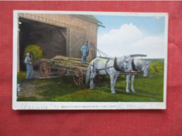 Lumber On Wagon  Near New Lyme.  Ohio      Ref 6364 - Other & Unclassified