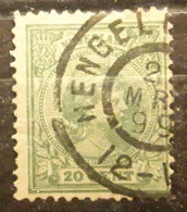 NEDERLAND PAYS BAS NETHERLANDS 1891 Wilhelmina Yvert 40, 20 C Vert  Obl Cachet HENGELO, Overijssel, 2 Mrt 1899 ,TB - Usados